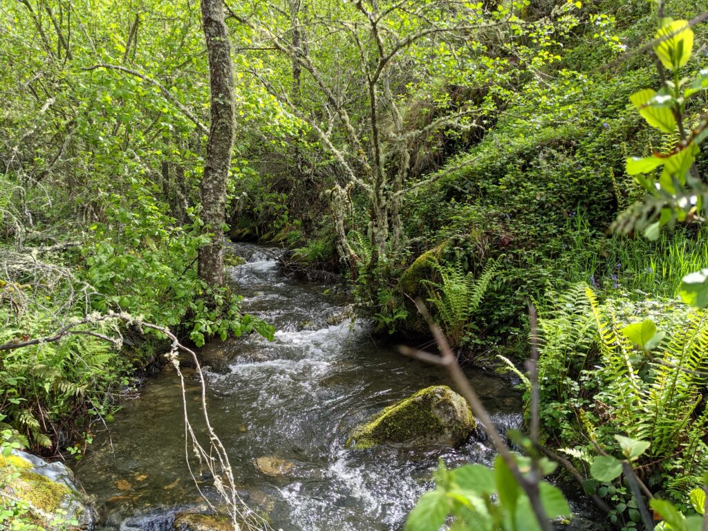 Paisaje panorámico de montaña